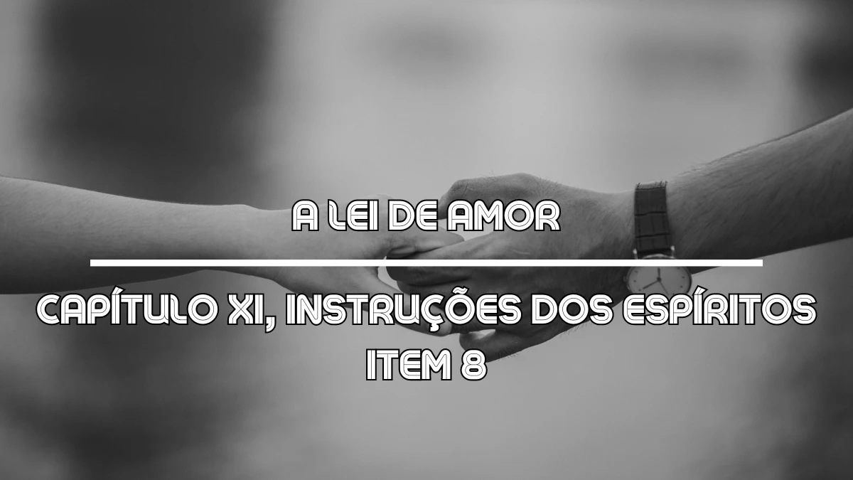 A Lei de Amor